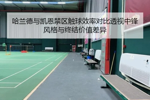 哈兰德与凯恩禁区触球效率对比透视中锋风格与终结价值差异